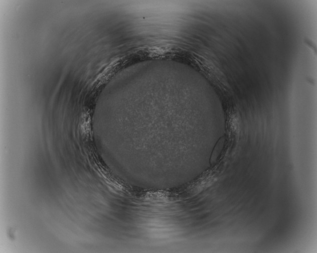 X0000102240914200808081432