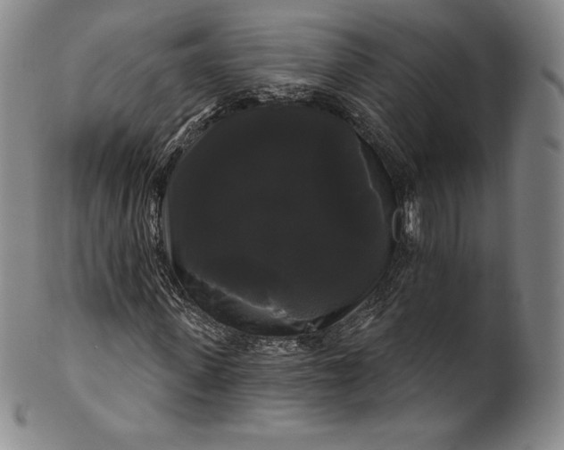 X0000102240915200808081432