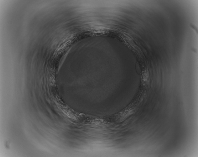 X0000102240916200808081432