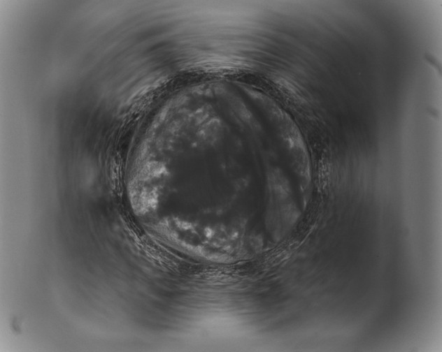 X0000102240917200808081432