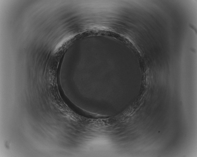 X0000102240919200808081432