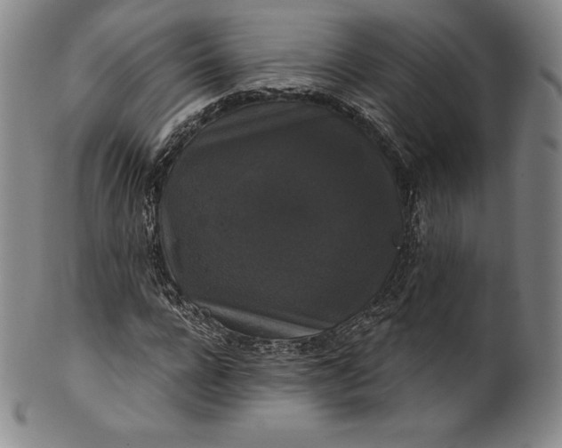 X0000102240920200808081432