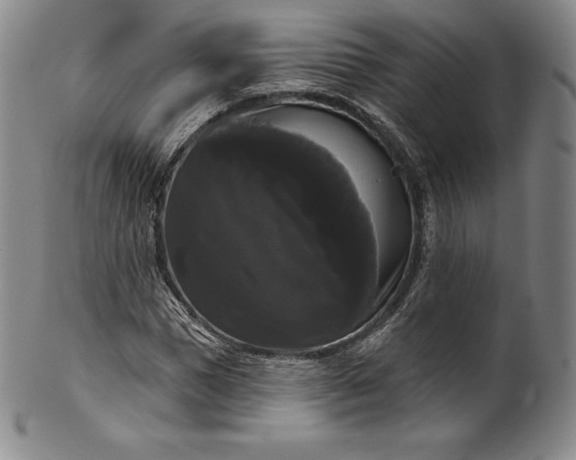 X0000102240921200808081432