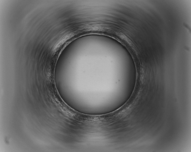 X0000102240922200808081432