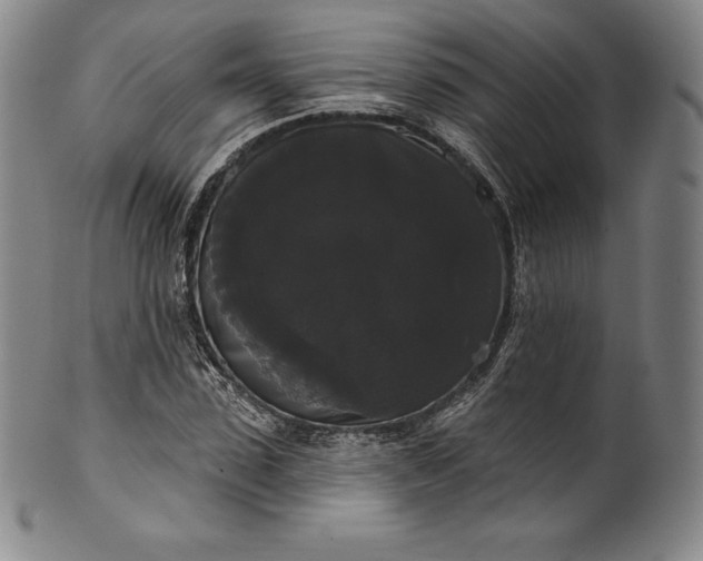 X0000102240923200808081432