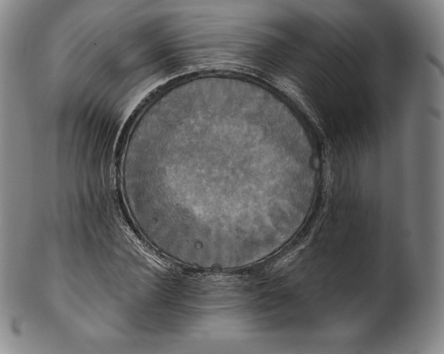 X0000102240924200808081432