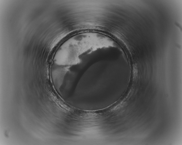 X0000102240925200808081432