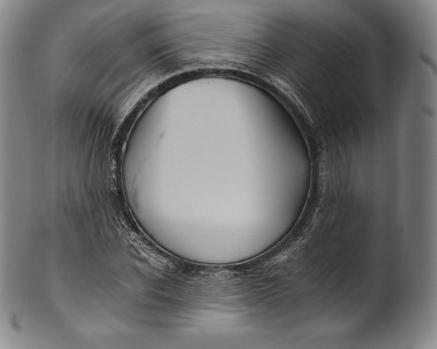 X0000102240926200808081432