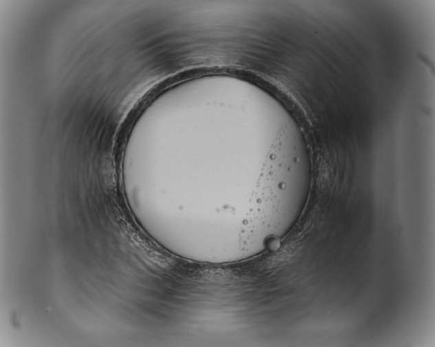 X0000102240927200808081432