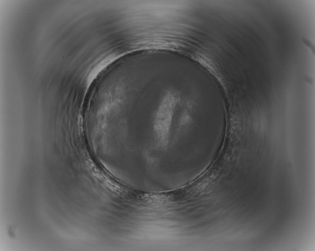 X0000102240928200808081432