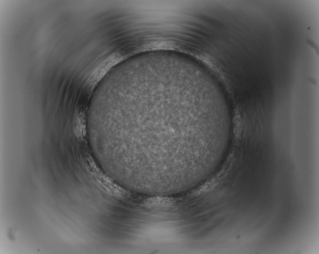 X0000102240929200808081432