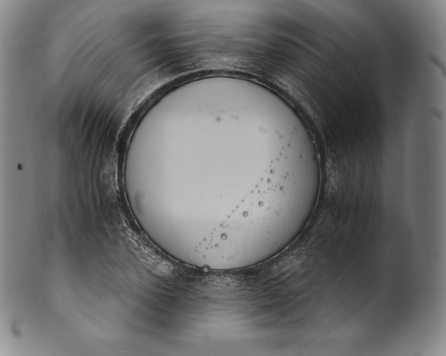 X0000102240931200808081432