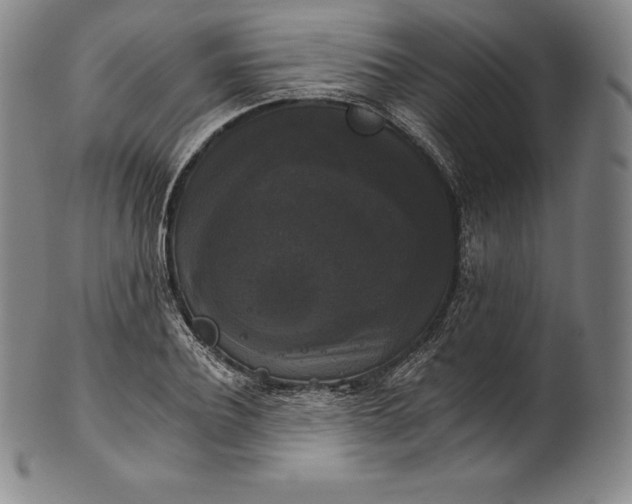 X0000102240932200808081432