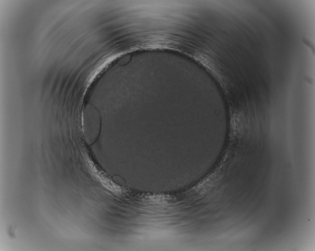 X0000102240934200808081432