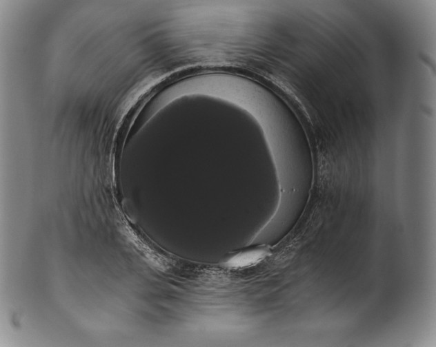 X0000102240935200808081432