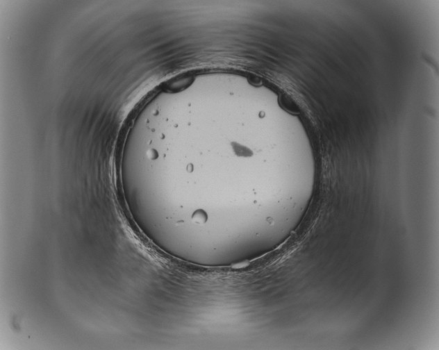 X0000102240936200808081432