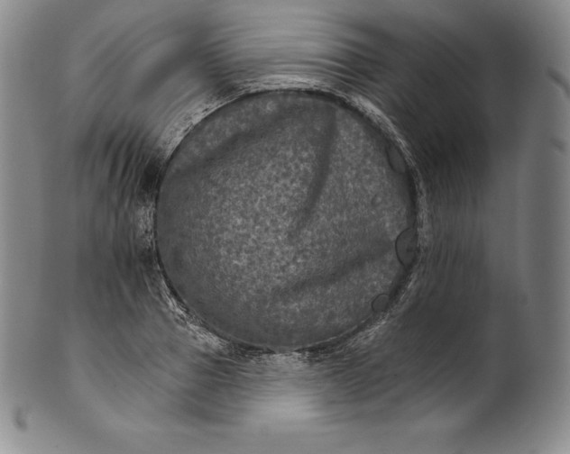 X0000102240937200808081432