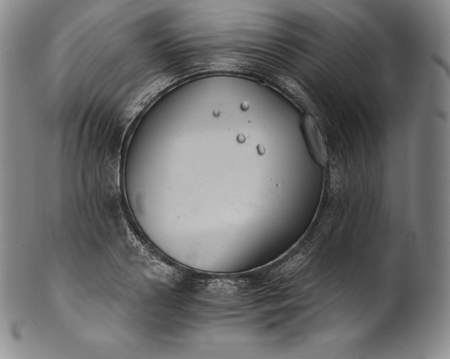 X0000102240938200808081432