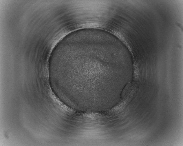 X0000102240939200808081432