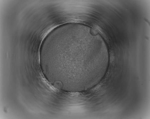 X0000102240940200808081432