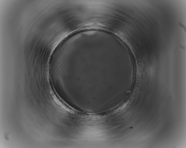 X0000102240941200808081432