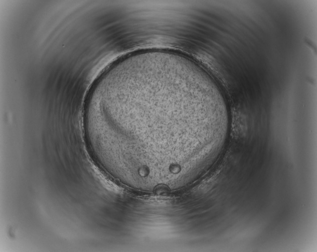 X0000102240942200808081432