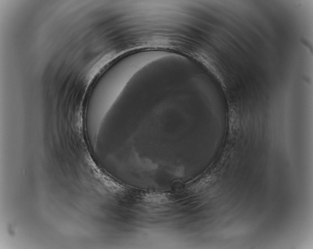 X0000102240944200808081432