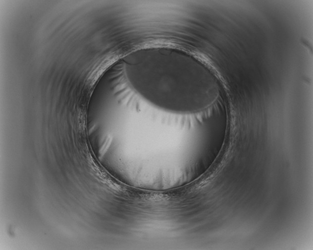 X0000102240945200808081432