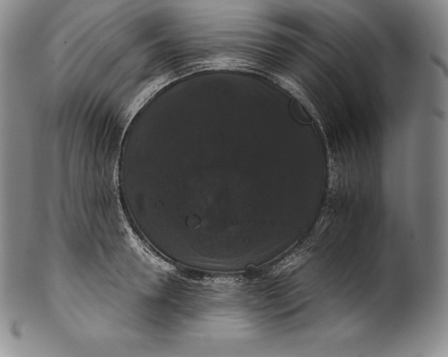 X0000102240946200808081432