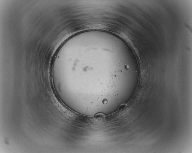 X0000102240947200808081432