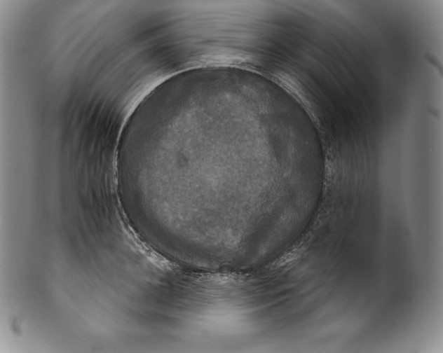 X0000102240948200808081432