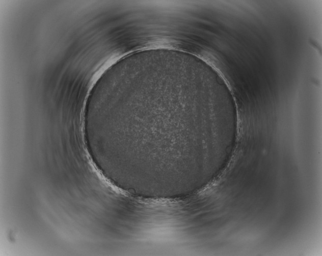 X0000102240949200808081432