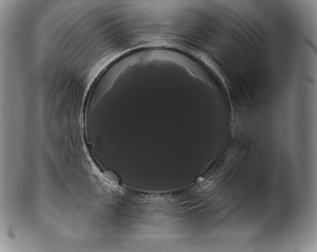 X0000102240951200808081432