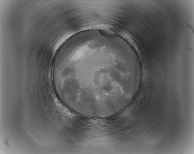 X0000102240952200808081432