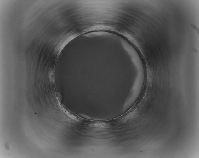 X0000102240953200808081432