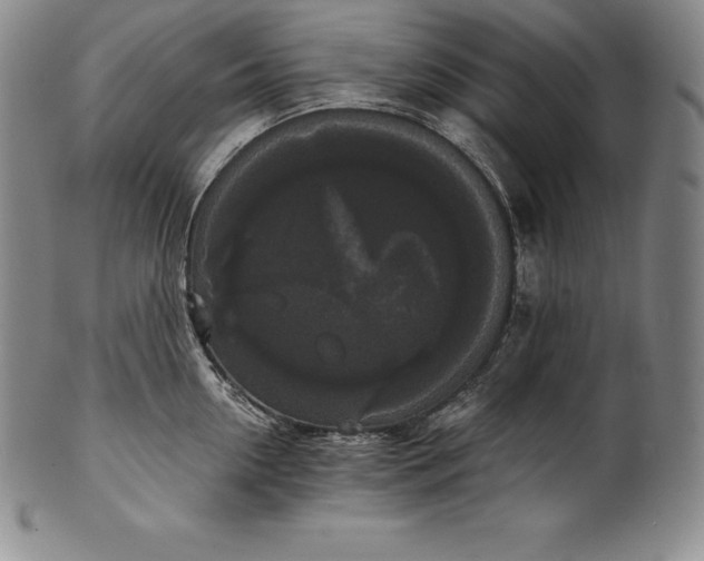 X0000102240954200808081432