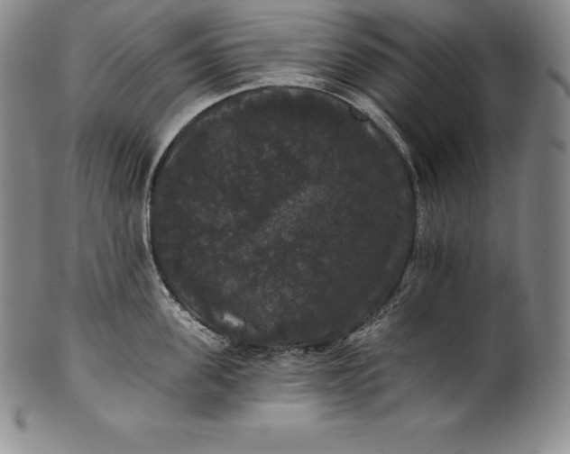 X0000102240955200808081432