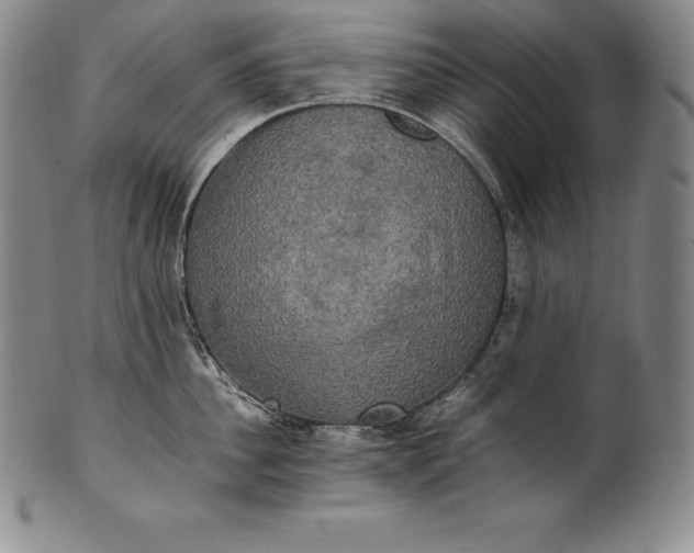 X0000102240956200808081432