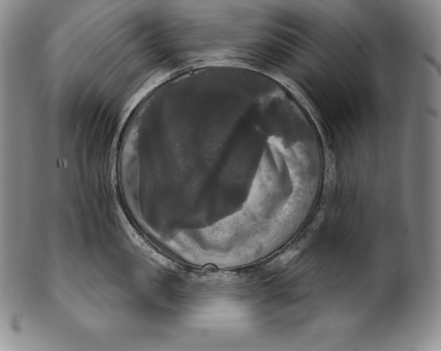 X0000102240957200808081432