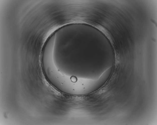 X0000102240958200808081432