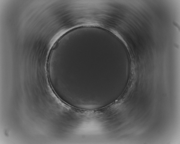 X0000102240959200808081432