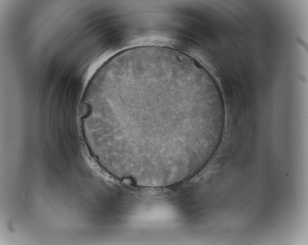 X0000102240960200808081433