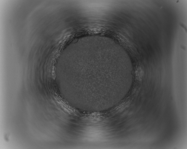 X0000102240961200808081432