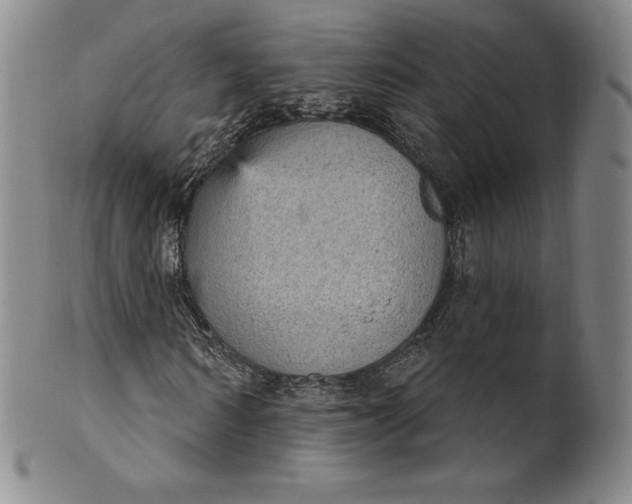 X0000102240962200808081432