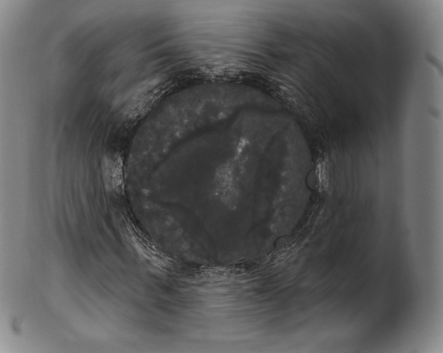 X0000102240963200808081432