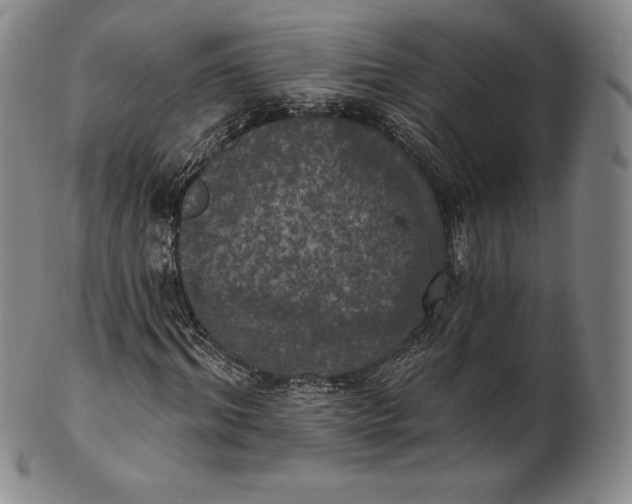 X0000102240964200808081432