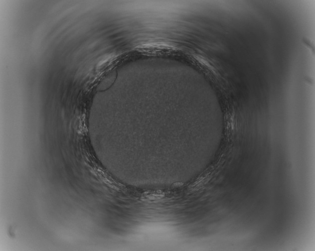 X0000102240965200808081432