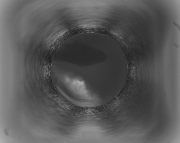 X0000102240966200808081432