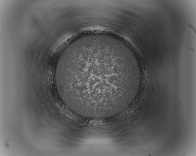 X0000102240967200808081432