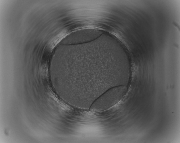 X0000102240969200808081432